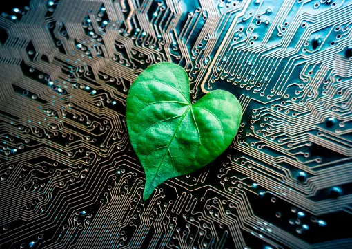 开云体育下载案例